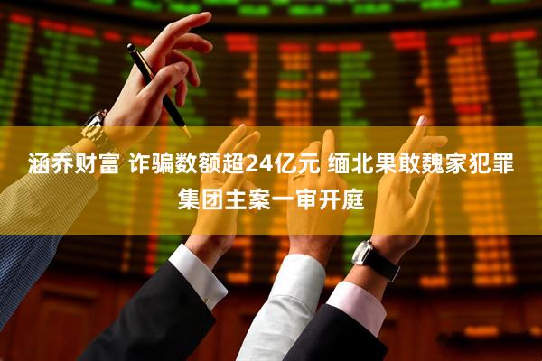 涵乔财富 诈骗数额超24亿元 缅北果敢魏家犯罪集团主案一审开庭