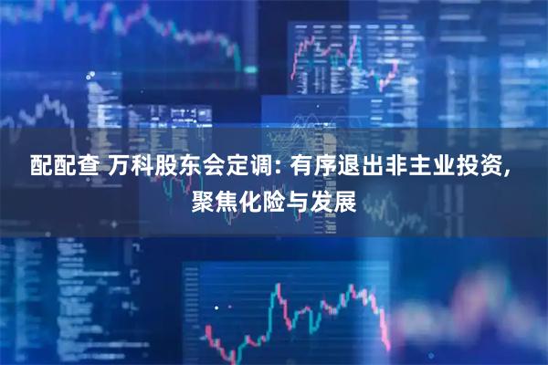 配配查 万科股东会定调: 有序退出非主业投资, 聚焦化险与发展