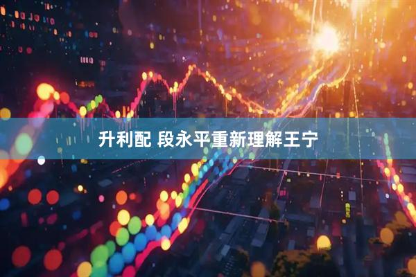 升利配 段永平重新理解王宁