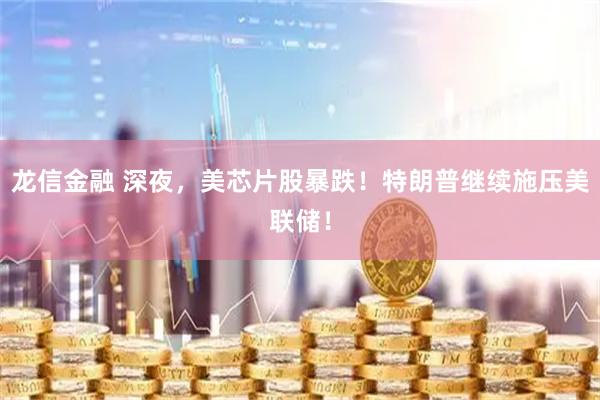 龙信金融 深夜，美芯片股暴跌！特朗普继续施压美联储！