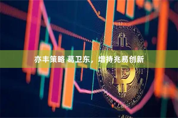 亦丰策略 葛卫东，增持兆易创新