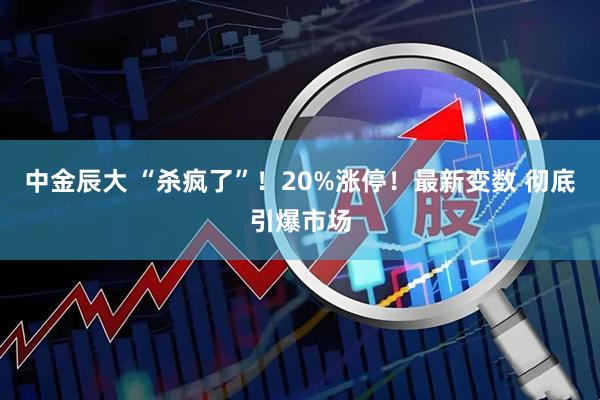 中金辰大 “杀疯了”！20%涨停！最新变数 彻底引爆市场