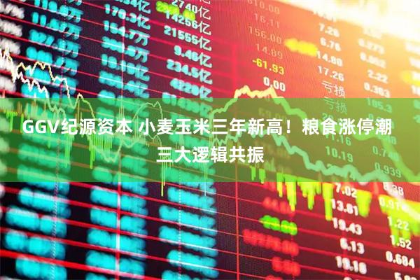 GGV纪源资本 小麦玉米三年新高！粮食涨停潮 三大逻辑共振